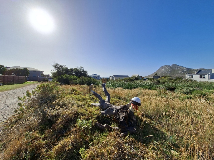 0 Bedroom Property for Sale in Pringle Bay Western Cape